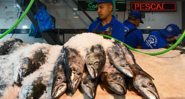 Gobierno llama a comprar pescados y mariscos en Semana Santa: gripe aviar no afecta ese consumo