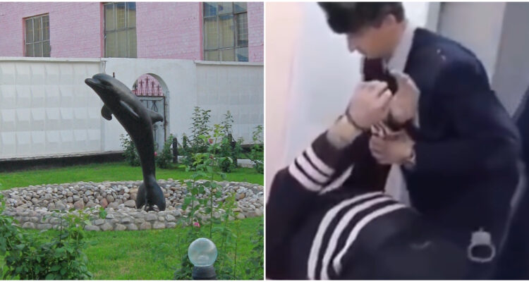 La escultura de la prisión delfin negro