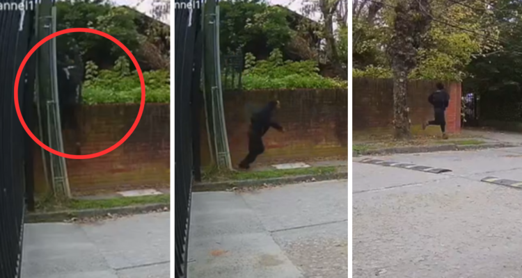 Delincuente golpea a matrimonio durante violento asalto a vivienda en sector Lonco de Chiguayante