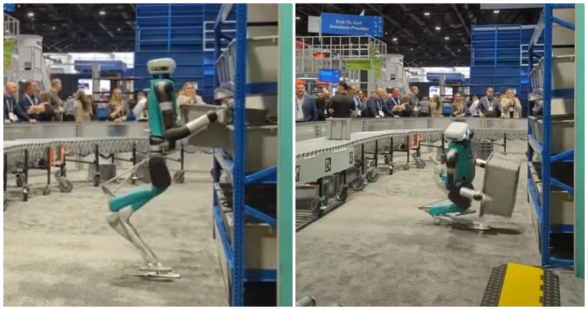 Robot colapsa tras 20 horas de trabajo ininterrumpido.