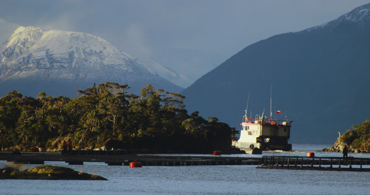 Salmoneras: secuelas de una industria que opera en medio de zonas protegidas