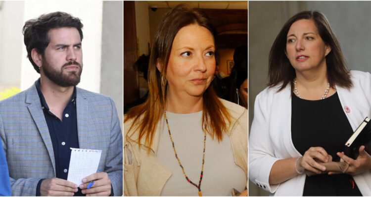 La tensión entre partidos oficialistas por reparos del Gobierno a Ley Naín-Retamal