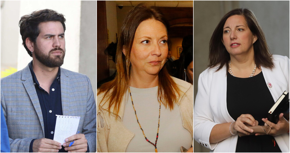 La tensión entre partidos oficialistas por reparos del Gobierno a Ley Naín-Retamal