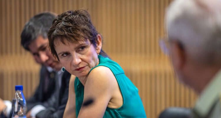 ¿Por qué habló Tohá? Las dudas por la Ley Naín-Retamal luego del incidente en San Antonio con una UZI