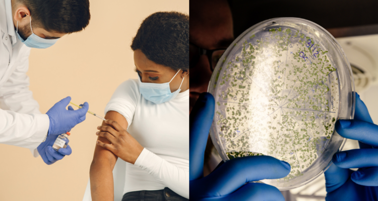 enfermero inyectando una vacuna a alguien (izquierda) y un científico analizando una capsula petri con muestras (derecha) en referencia a la posible vacuna contra el cáncer de Moderna