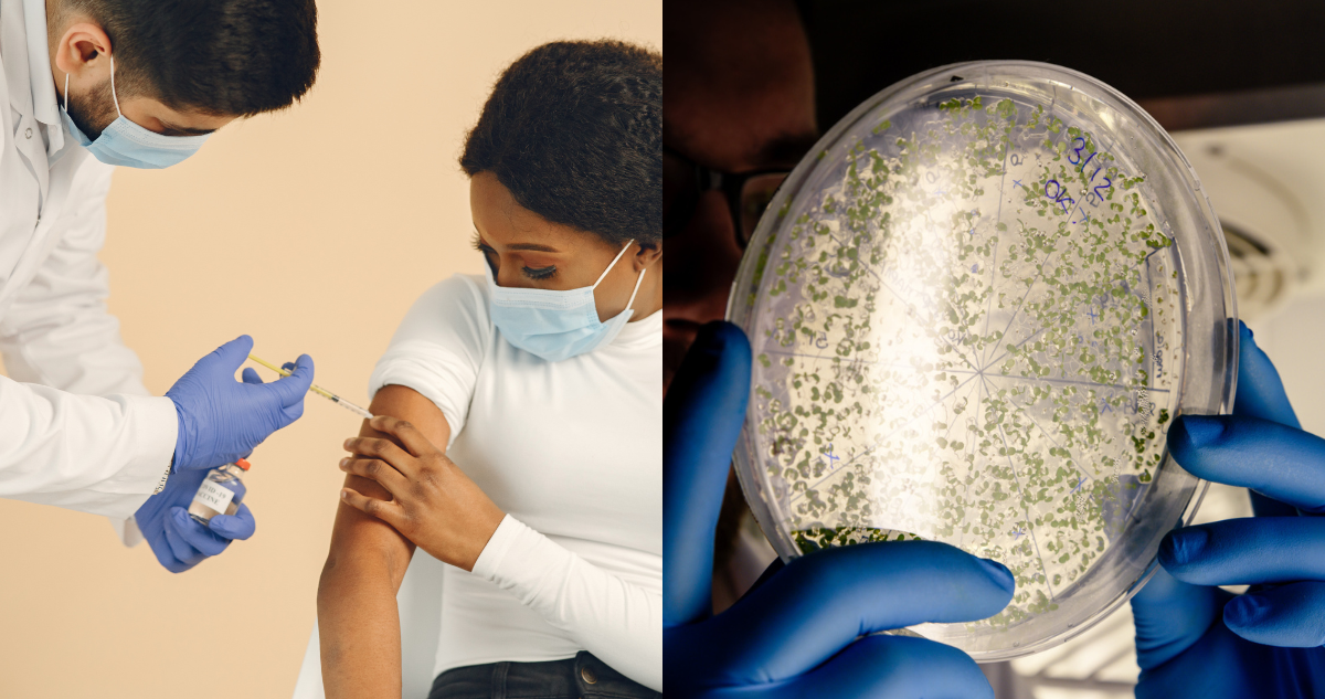enfermero inyectando una vacuna a alguien (izquierda) y un científico analizando una capsula petri con muestras (derecha) en referencia a la posible vacuna contra el cáncer de Moderna