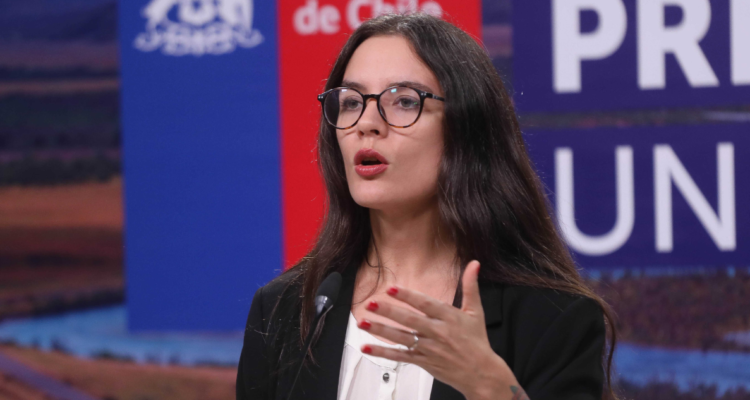 Vallejo críticas empresarios litio