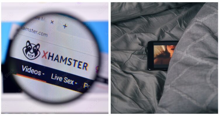 Una imagen contextual de xHamster.