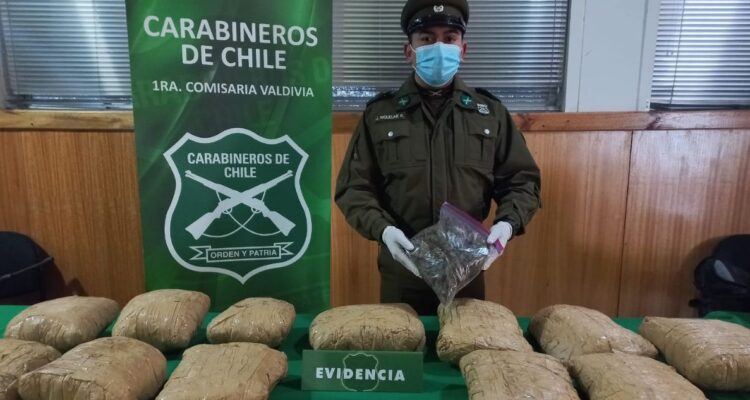 Detienen en Valdivia a individuo que trasladaba en su vehículo más de $130 millones en marihuana