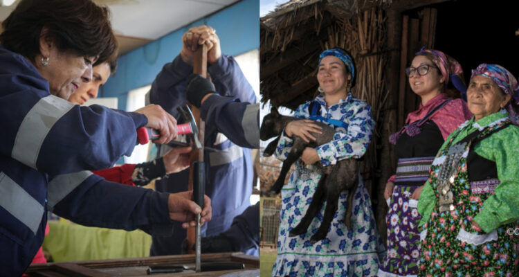 Abren postulación a fondo concursable para proyectos