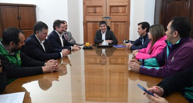 Alcaldes de cinco comunas de la RM van a La Moneda para pedir inclusión en plan Calles Sin Violencia