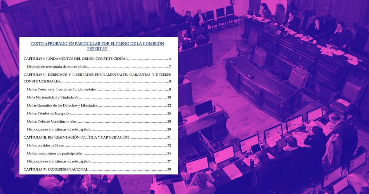 Revisa el anteproyecto de nueva Constitución propuesto por la Comisión Experta