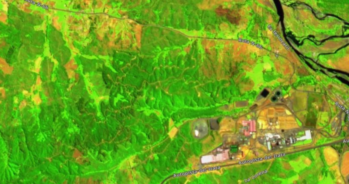 Imagen satelital que permite dimensionar magnitud de incendio forestal en Paso Hondo, Ranquil. 