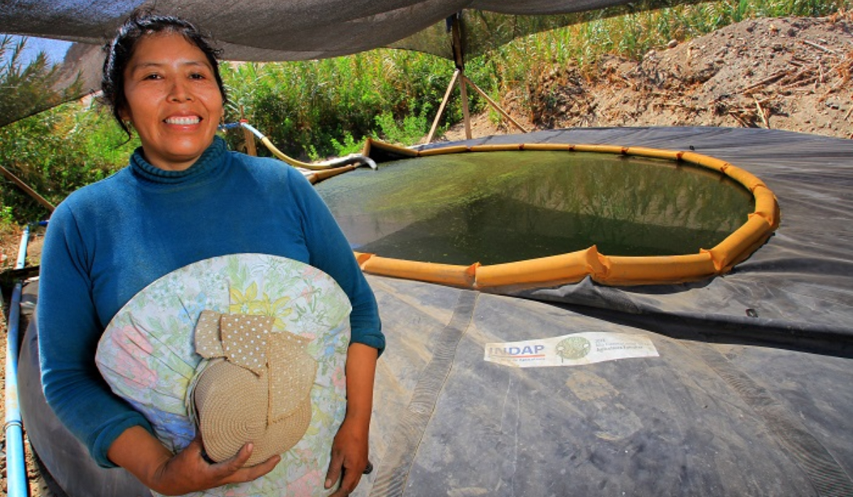 Apoyo a la agricultura familiar campesina