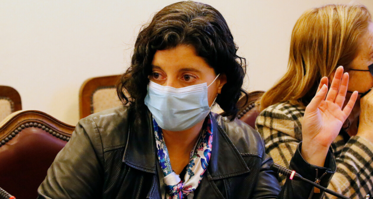 Dresdner por Tren de Aragua en Concepción: Nos estamos haciendo cargo de un problema que heredamos