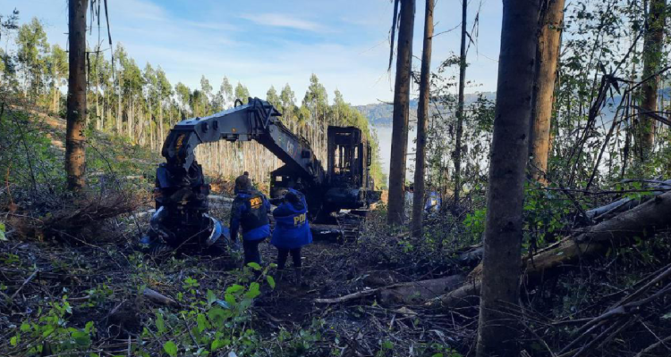 Ataque incendiario en Los Ríos: desconocidos quemaron dos grúas en predio forestal
