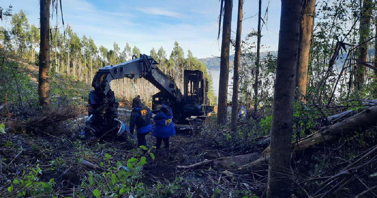 Ataque incendiario en Los Ríos: desconocidos quemaron dos grúas en predio forestal