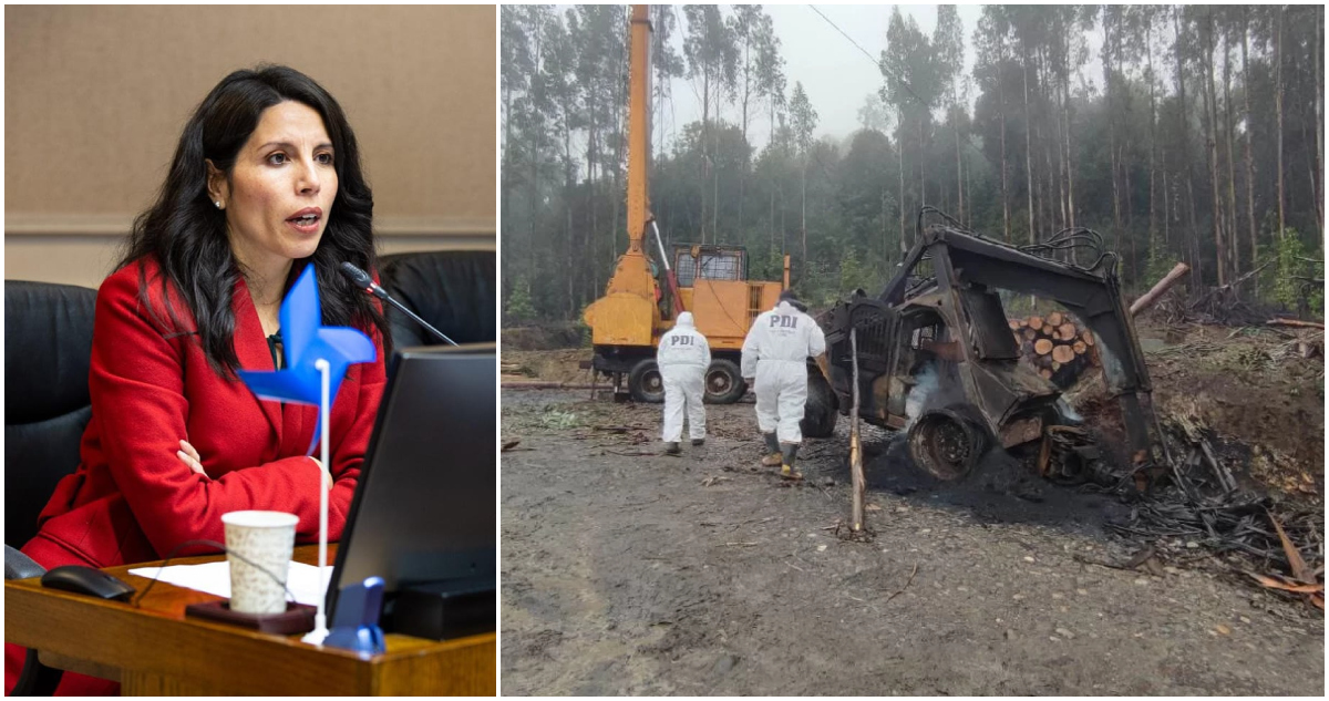 Senadora Gatica exige Estado de Excepción en Los Ríos