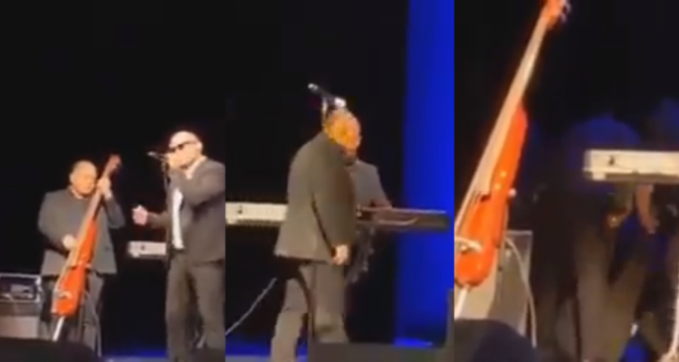 Capturas de video donde se ve al bajista que falleció en pleno concierto