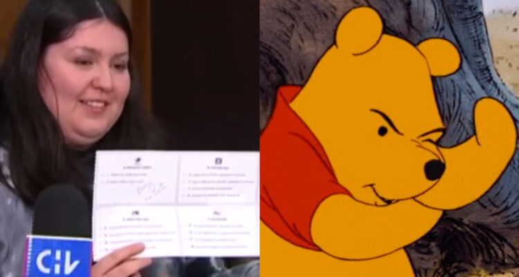 Votante dejó voto nulo y escribió “Boric, mi osito”