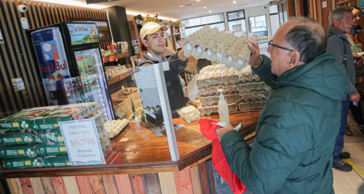 Gobierno reporta nueva caída de precio de canasta básica: detalla alimentos que más subieron y bajaron