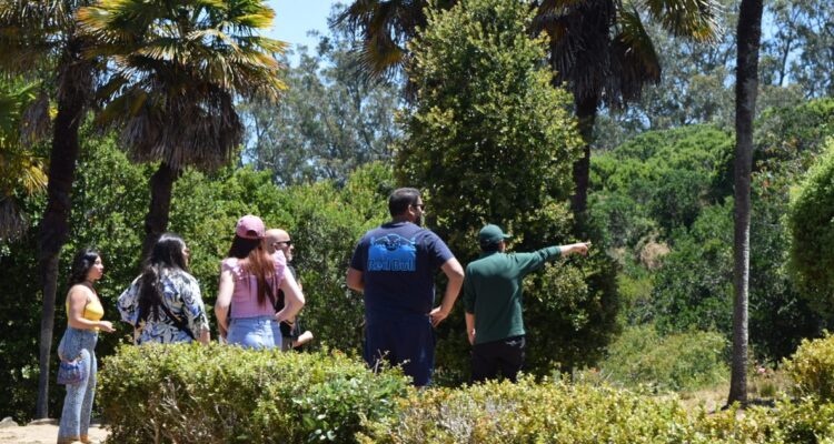 caminaras parque museo