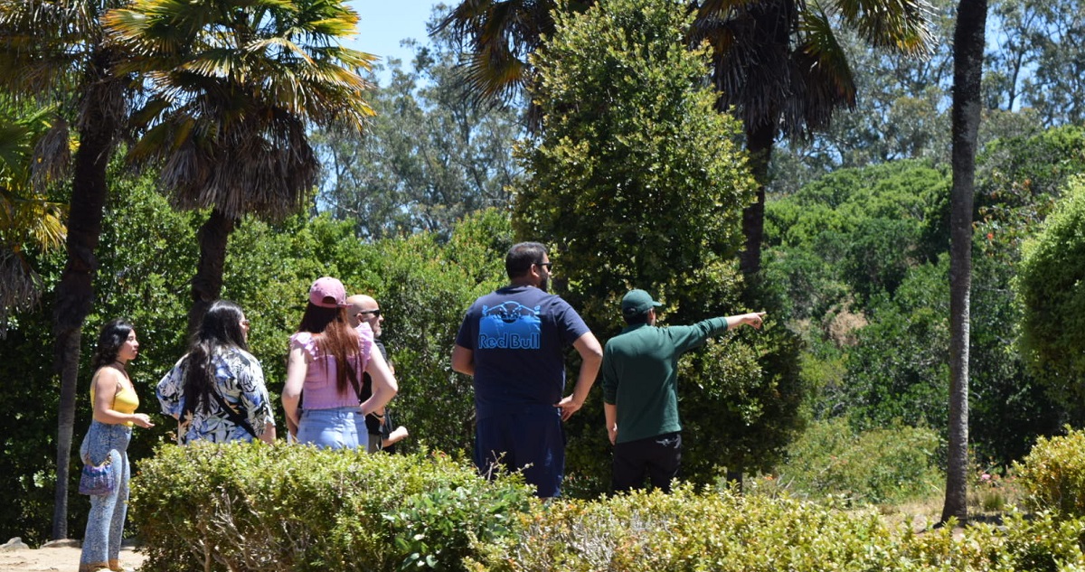 caminaras parque museo