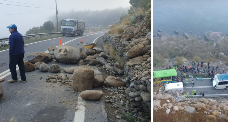 cerro Alto Bío Bío