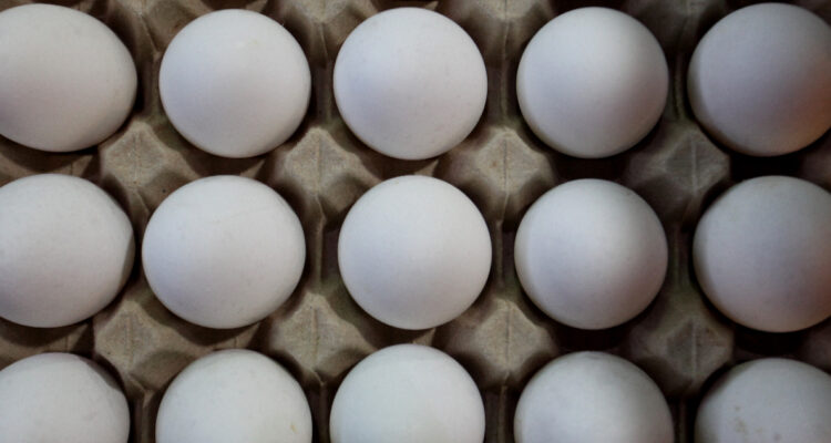 CONTEXTO/ Agencia UNO