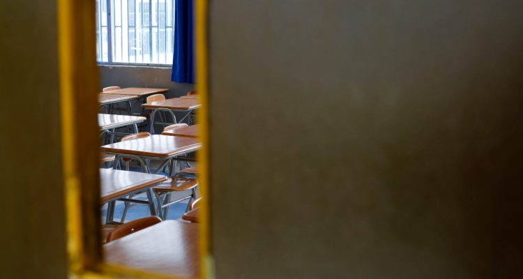 liceo Coronel clases