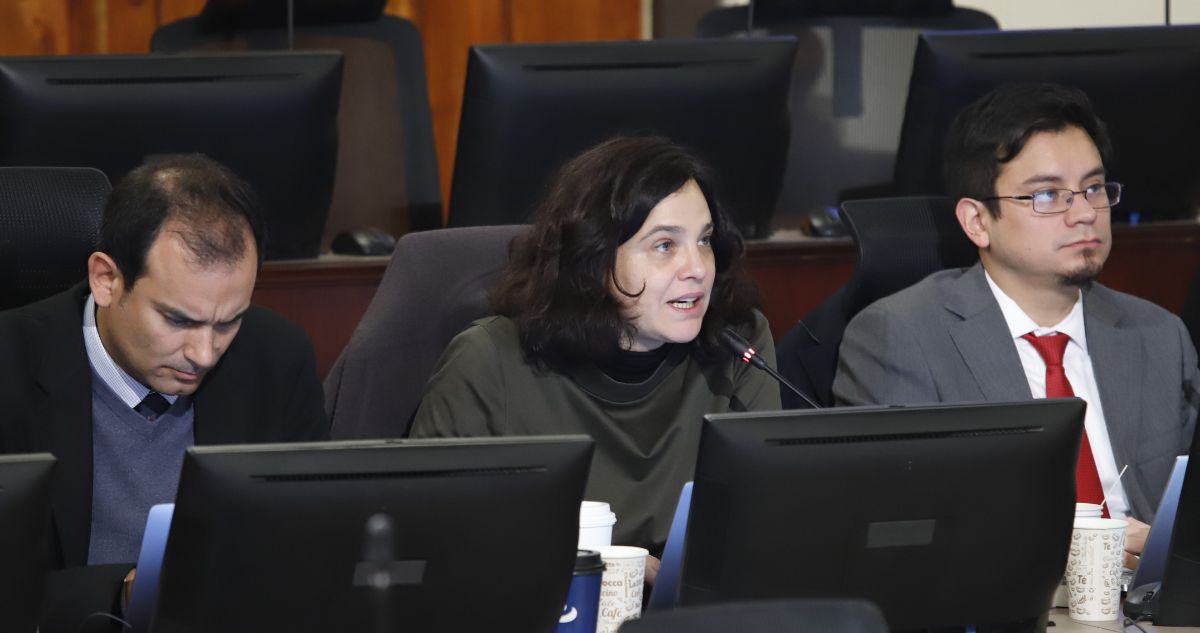 A dos semanas de entregar la posta: Comisión Experta busca zanjar últimos artículos del anteproyecto