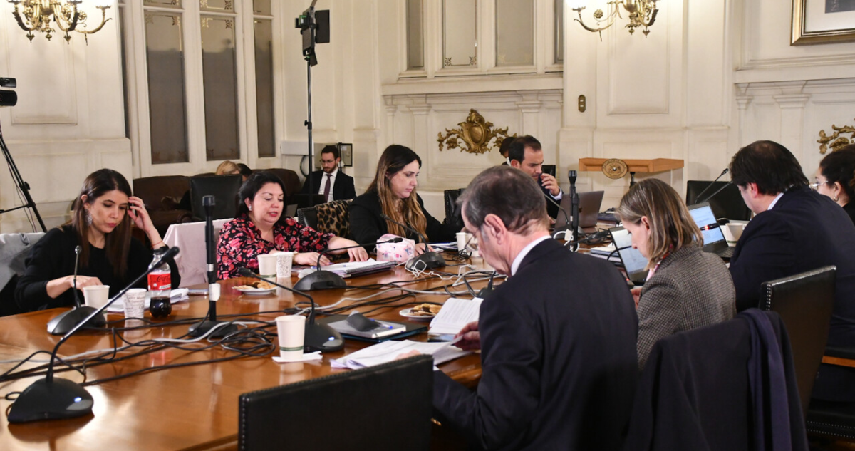comisión experta