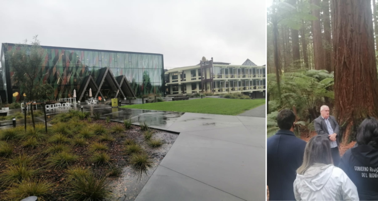 Comitiva del Bío Bío conoce el trabajo del pueblo Maorí en la industria forestal de Nueva Zelanda