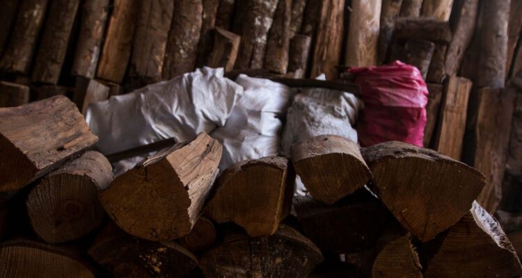 Cómo elegir correctamente la leña para calefaccionar: consejos y recomendaciones
