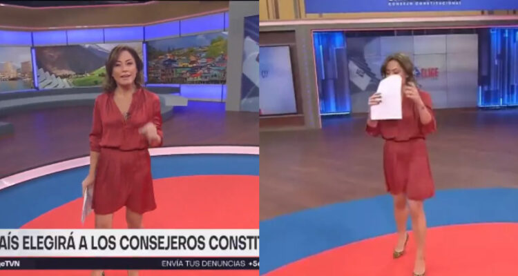 Constanza Santa María