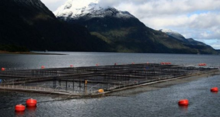 Ley SBAP: gremios y dirigentes valoran rechazo a artículo que prohibía concesiones en áreas protegidas