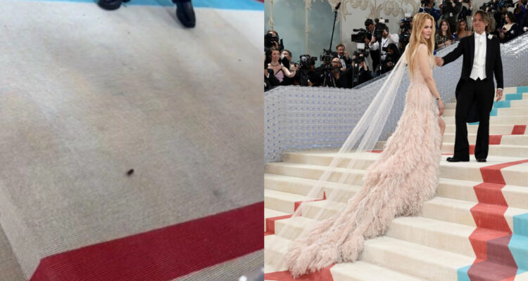 Cucarachas en MET Gala