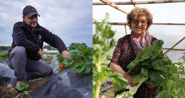 Cuenta pública de Indap