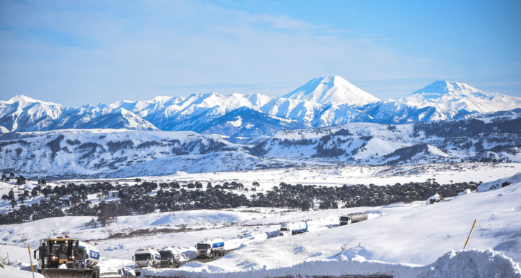 Declaración Jurada Digital