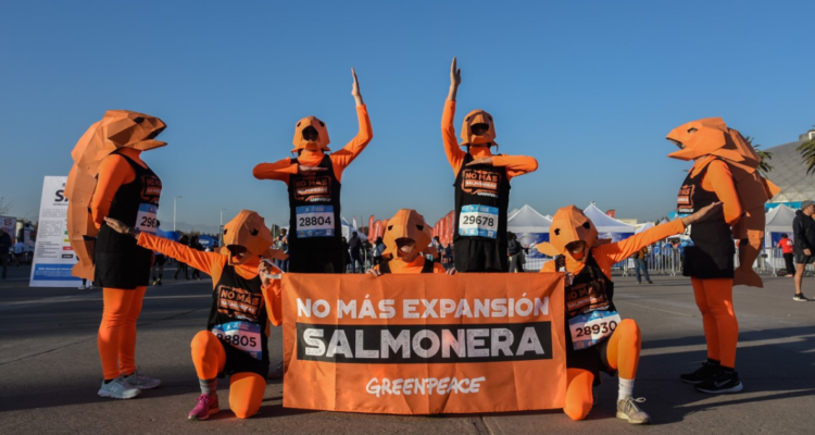 Activistas de Greenpeace denuncia expansión salmonera en Maraton de Santiago