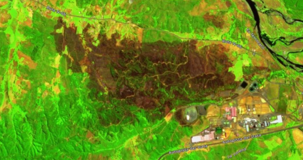 Imagen satelital que permite dimensionar magnitud de incendio forestal en Paso Hondo, Ranquil. 