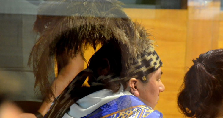 Corte de Apelaciones de Temuco rechazó recurso de libertad condicional a machi Celestino Córdova.