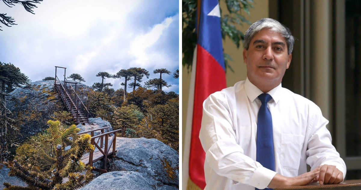 Diputado Leal (UDI) denuncia que comunidad mapuche tiene tomado el Parque Nacional Tolhuaca.