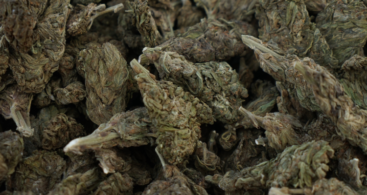 CONTEXTO | Agencia UNO