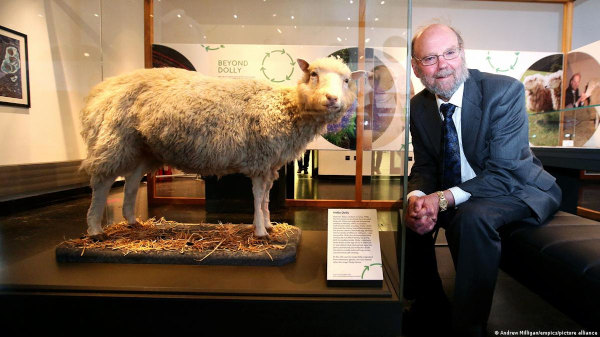 LaIan Wilmut, uno de los científicos que clonó a la oveja Dolly, junto a su cuerpo en el Museo Nacional de Escocia. 