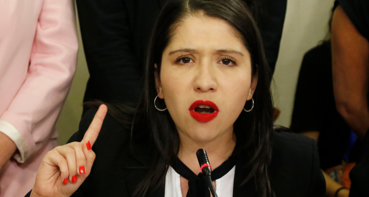 “El patriotismo se lo meten por donde les cabe”: Valdés (RD) a Republicanos en plena sesión de Cámara.