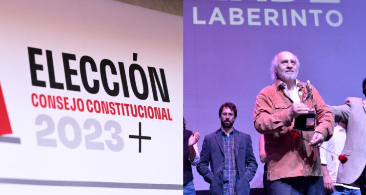 Los únicos dos famosos que son candidatos en estas elecciones para el Consejo Constitucional