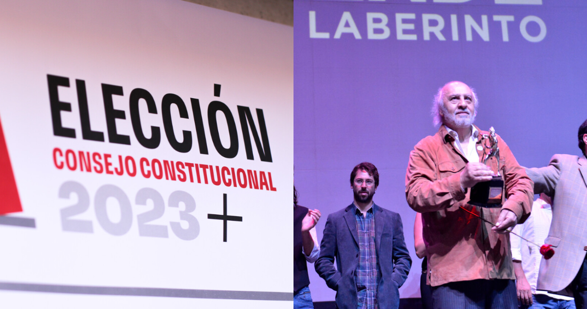 Los únicos dos famosos que son candidatos en estas elecciones para el Consejo Constitucional