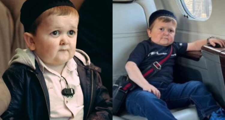 Arrestan a Hasbulla Magomedov