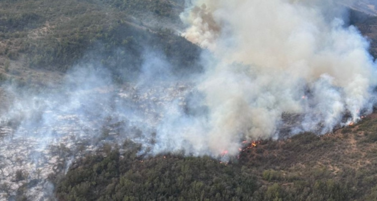 incendio forestal Casablanca